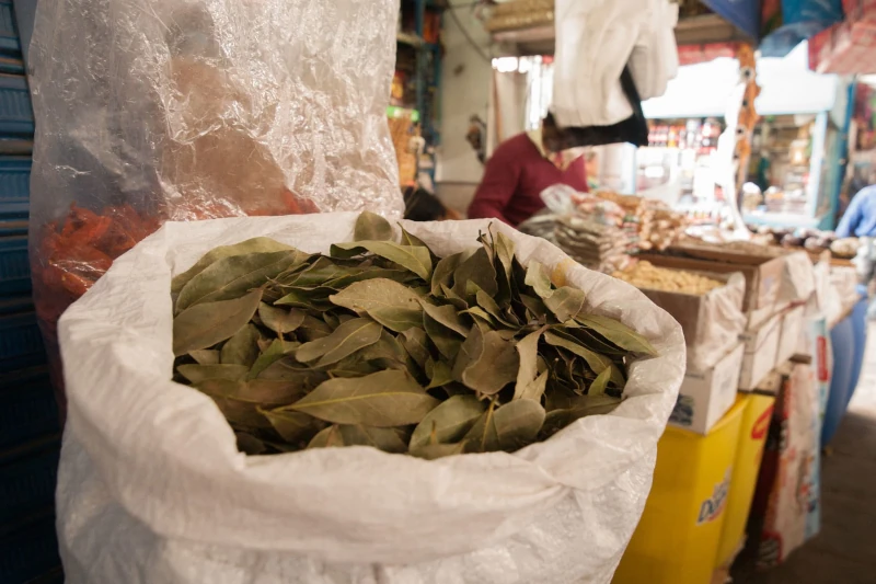 coca tea