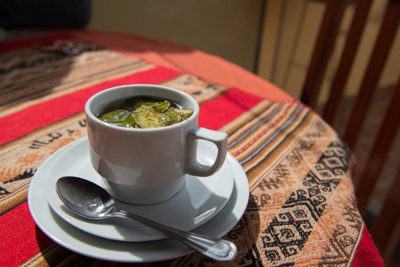 coca tea