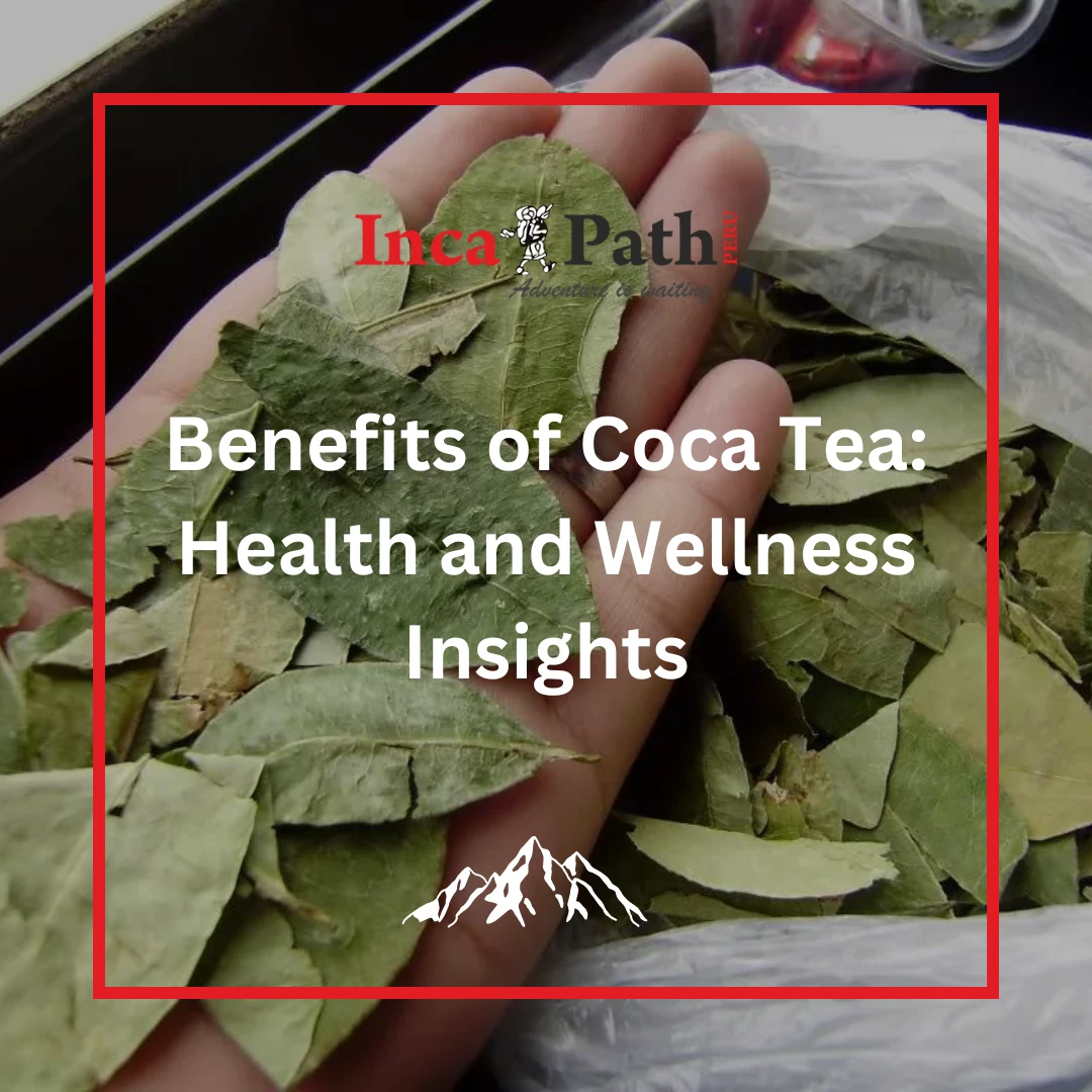 coca tea